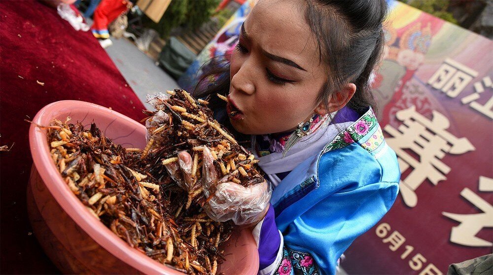 Photo inspiration: Visual Reference: Mealworms And Crickets Are Recognized As Fit For Human Consumption