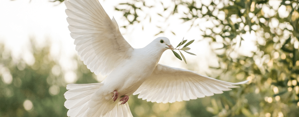 White dove flying with olive branch in beak against green foliage background